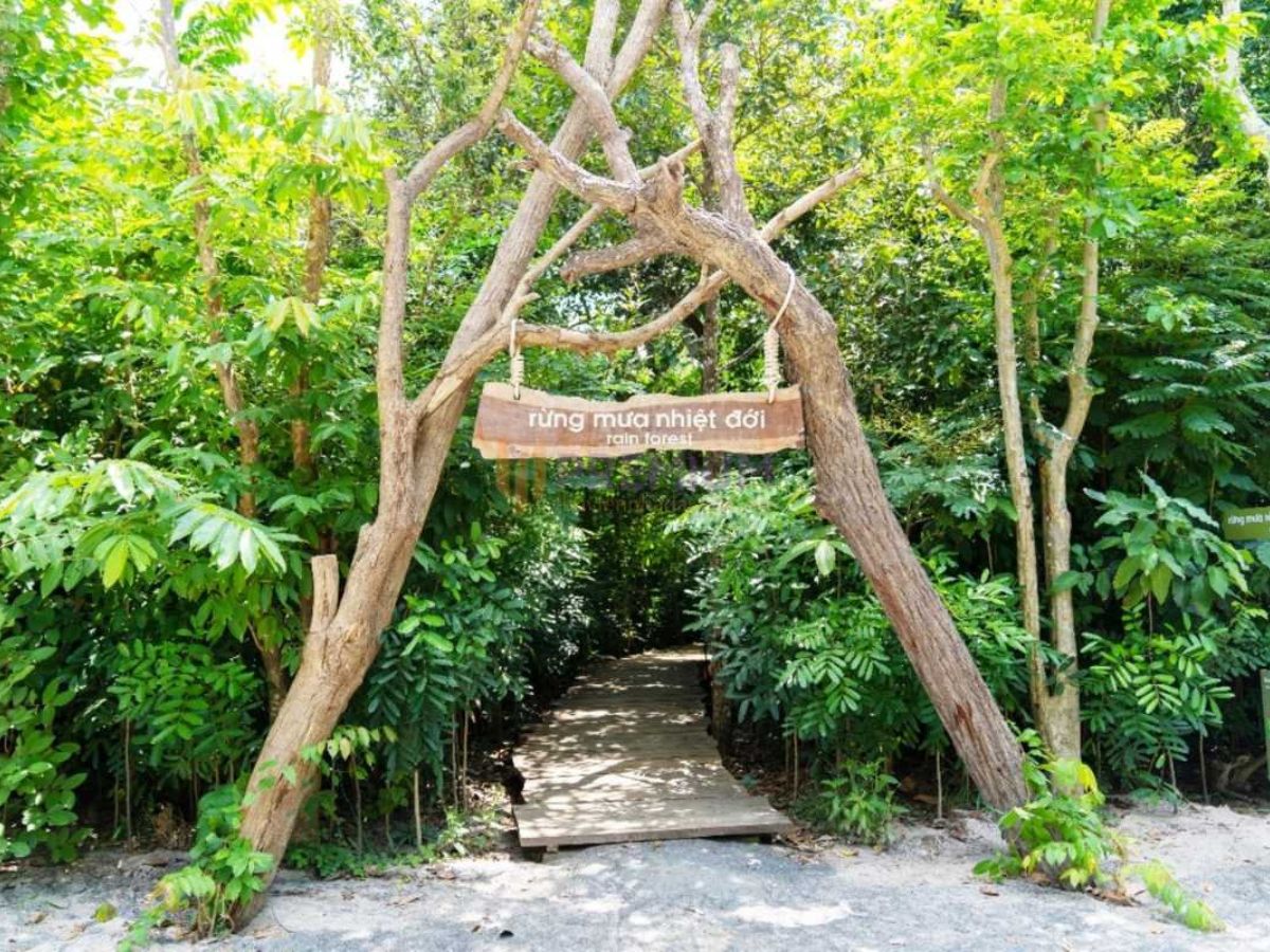 Khu bảo tồn thiên nhiên Bình Châu – Phước Bửu là nơi yêu thích của các tín đồ trekking