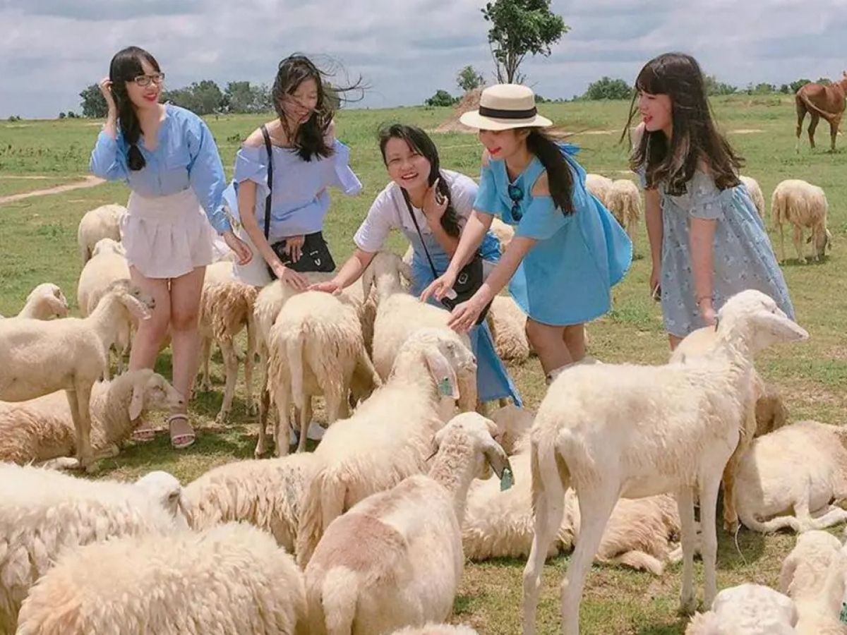 Check-in đồi cừu Bưng Riềng thu hút nhiều du khách và các nhóm bạn trẻ.