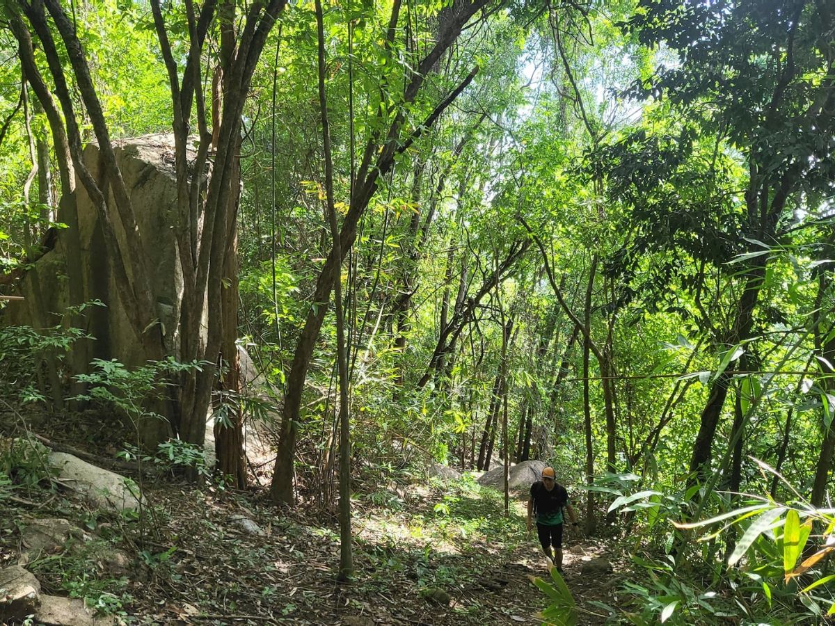 Mùa khô thời tiết đẹp phù hợp trekking khám phá núi Tóc Tiên. 