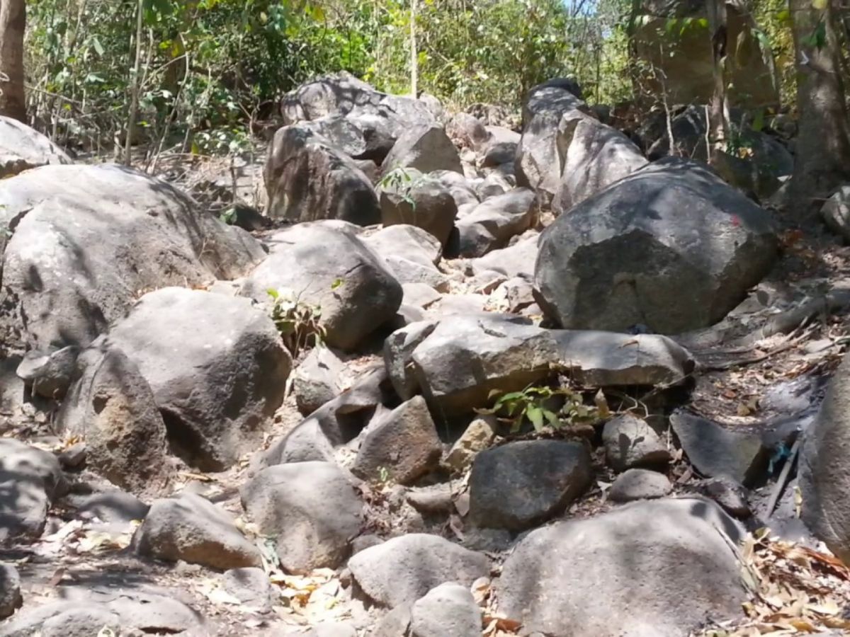 Cung đường trekking lên đỉnh núi Nứa Vũng Tàu.