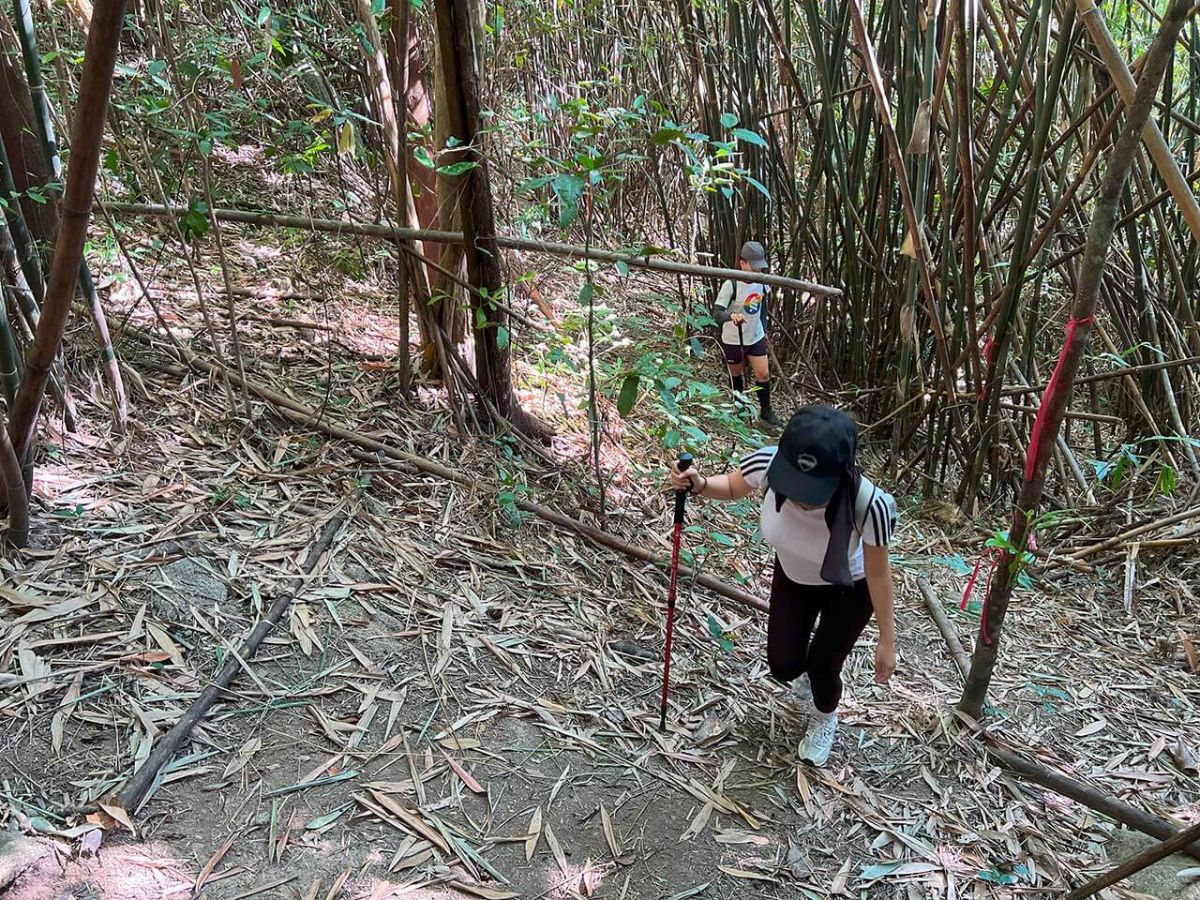 Du khách nên xem thời tiết và chọn cung được trekking phù hợp khi chinh phục núi Chân Tiên.
