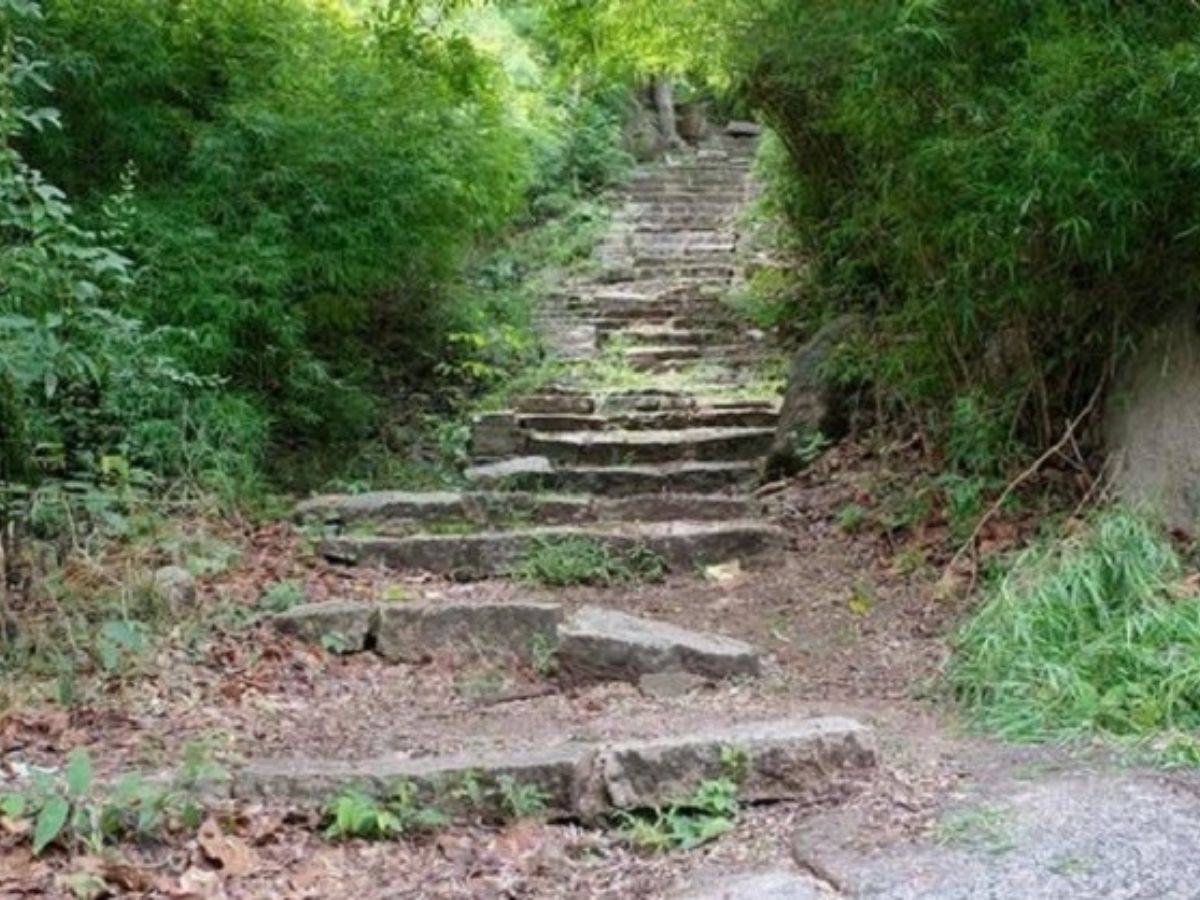 Mùa khô là thời điểm đẹp để đến núi Chân Tiên Vũng Tàu.