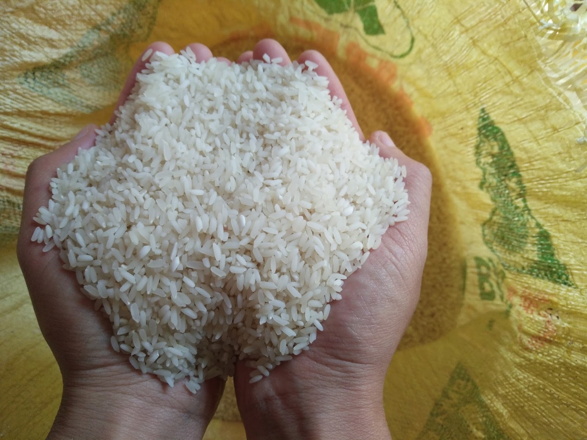 Gạo nấu rượu là loại gạo thơm dẻo còn nguyên lớp cám bên ngoài Gạo nấu rượu là loại gạo thơm dẻo còn nguyên lớp cám bên ngoài