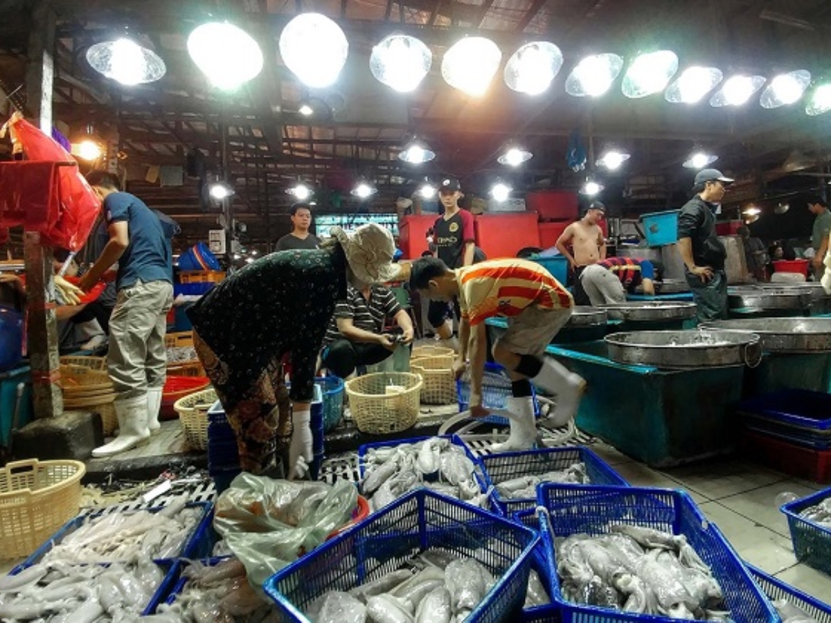 Chợ Bình Châu là điểm phân phối hải sản tươi sống đến nhiều tỉnh lân cận Chợ Bình Châu là điểm phân phối hải sản tươi sống đến nhiều tỉnh lân cận