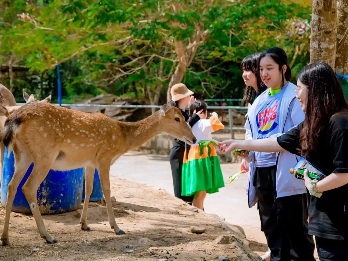 Khu du lịch Hồ Mây Park thu hút du khách khi đến Vũng Tàu