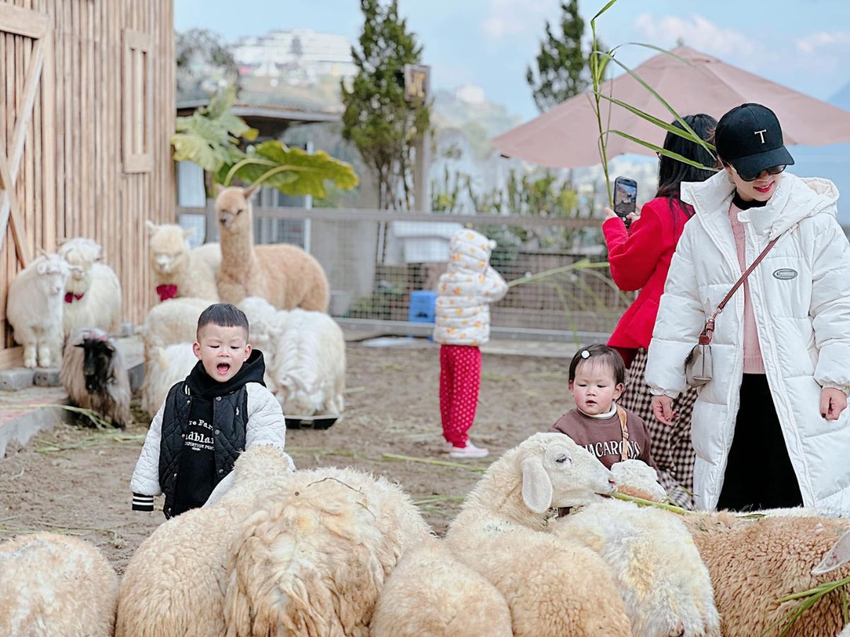 Ulala Farm phù hợp với gia đình có trẻ nhỏ vui chơi. (Nguồn: Sưu tầm)